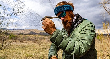 Afrika'dan göçen kuşlar incelendi