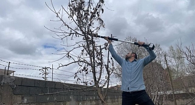 Ağaçlar yaza hazırlandı
