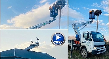 Aras Elektrik'ten doğa dostu adım