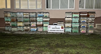 Arı kovanlarını çalarken yakalandılar