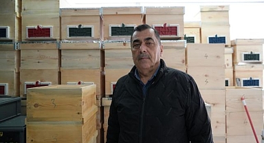 Arı ölümleri korkutuyor