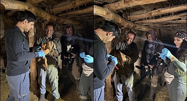 Aşılama çalışmaları sürüyor