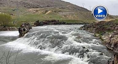 Av yasağı ile güvenli göç sağlandı