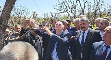 Başkanı Bayraktar zarar gören bahçeleri inceledi