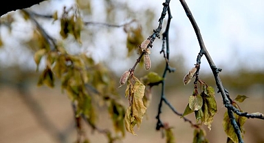 Çiftçiler destek bekliyor