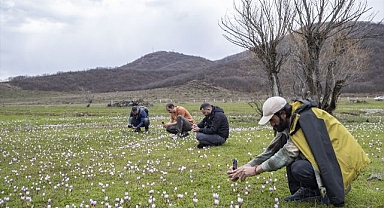 Doğa ve fotoğraf tutkunlarını cezbeden manzara