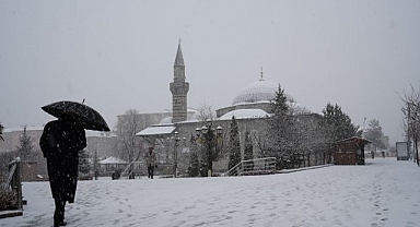 Erzurum'a zirai don uyarısı!