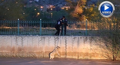Erzurum'da sokak köpeği kurtarma operasyonu