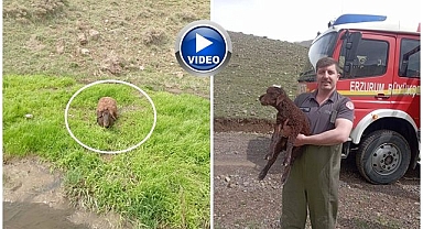 Erzurum itfaiyesi imdadına koştu