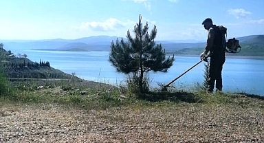 İlçede yabani ot temizliği yapıldı