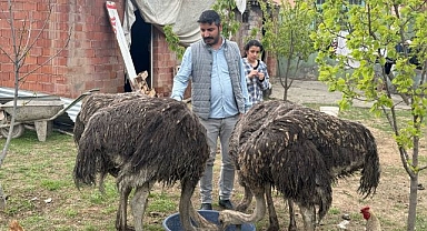 İlçenin yeni maskotları ilgi odağı