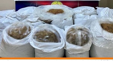 Kaçakçılara nefes aldırmadılar