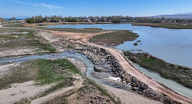 Kuşlar yeniden yaşam alanına döndü
