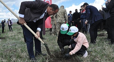 Meyve ağaçları toprakla buluştu