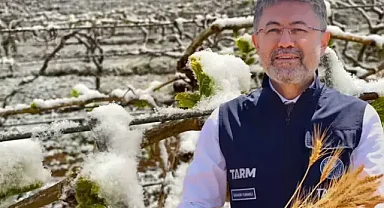 Türkiye tarihinin en büyük zirai don olayı! İller bir bir alarm veriyor