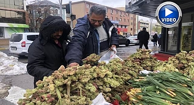 'Yayla muzu’ tezgahlarda satışa çıktı