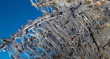 Zirai don mağduru çiftçilere rekor tazminat!