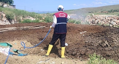 10 köyde larvalara ilaçlama