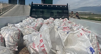 2 ton kaçak inci kefali ele geçirildi