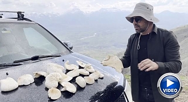 20 kilometre yol katedip mantar topluyorlar