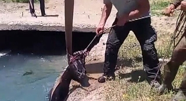 3 gündür kayıptı... Sulama kanalında bulundu