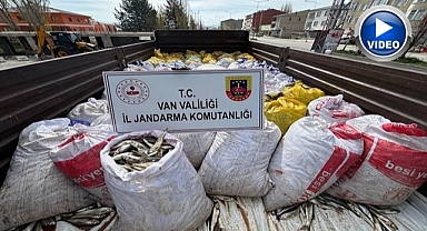 3 ton 820 kilo kaçak avlanmış balık ele geçirildi