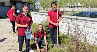 Ağaçlar onlarla büyüyecek