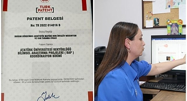 Anne karnındaki riskleri gösteren projeye patent