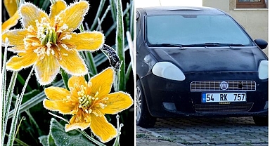 Araçların camlarını buz, çiçekleri kırağı tuttu