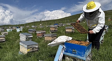 Arıcılık yapan kadın muhtar kovan sayısını altıya katladı