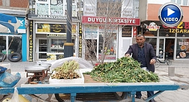 Baharın müjdecisi ışkın ve çiriş tezgahları süslüyor