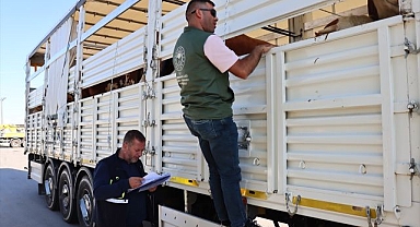 Batıya sevk edilen kurbanlıkların denetimi sürüyor