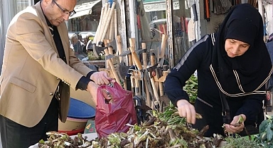 Dağ otları hem şifa hem kazanç sağlıyor