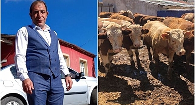 Dana paraları buhar oldu! Göz göre göre dolandırıldı