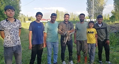 Doğal yaşamına kavuşturuldu