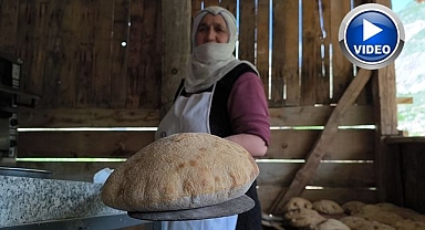 Doğallığın tadı Tortum Şelalesi'nde