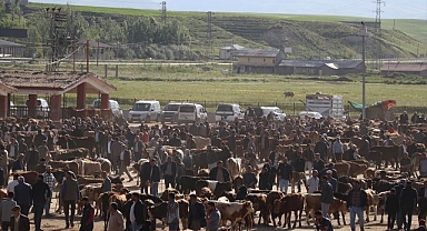Doğu'dan batıya 80 bin kurban sevkiyatı