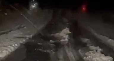 Dolu yağışı yolları beyaza bürüdü