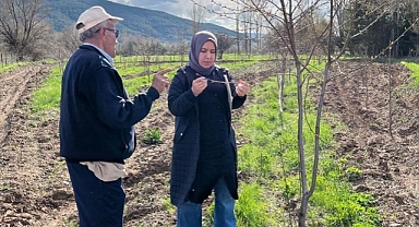 Ekipler, meyve bahçelerini inceledi