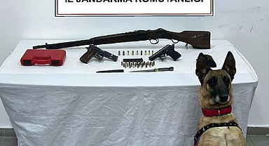 Erzurum'da jandarmadan ruhsatsız silah operasyonu!