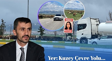 Erzurum'a 'Ekolojik Köprü' talebi!