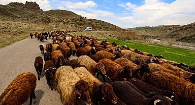 Göçerlerin yaylalara çıkışı başladı