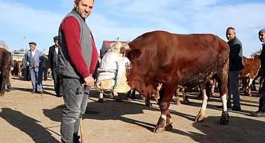 Hayvan Borsası'nda kurbanlık hareketliliği başladı