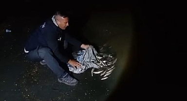 Kaçak avcılara ceza yağdı