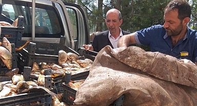 Kaçak avlanan 700 kilogram balık ele geçirildi