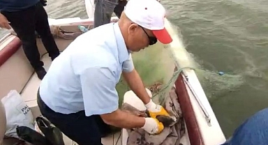 Kaçak avlanmayı önlemek için yoğun çalışıyorlar