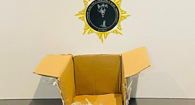 Kargo paketinden uyuşturucu çıktı