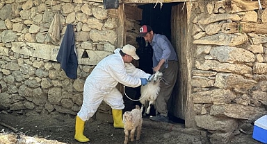 Kırsalda aşı seferberliği