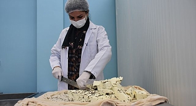 Kooperatif kuran kadınlar üretime başladı