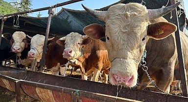Kurban kesim yerleri açıklandı